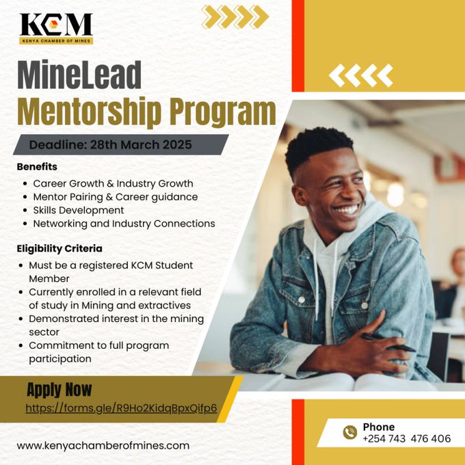 MineLead Mentorship Program